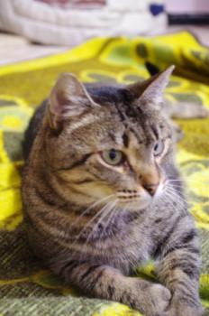 Gipsy-Mimi Bild von Gipsy-Mimi