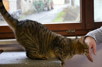 Gipsy-Mimi Bild von Gipsy-Mimi