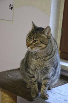 Gipsy-Mimi Bild von Gipsy-Mimi