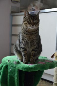 Gipsy-Mimi Bild von Gipsy-Mimi