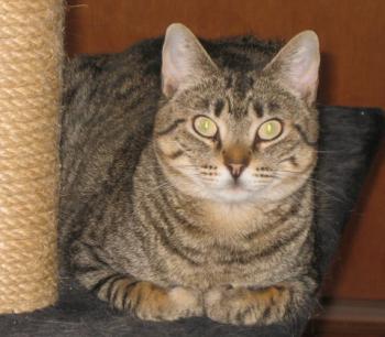 Gipsy-Mimi Bild von Gipsy-Mimi