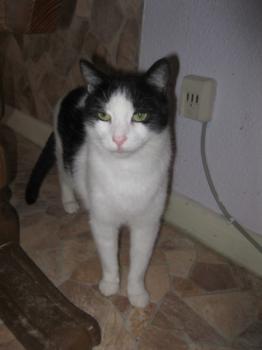 Robbie Bild von Robbie