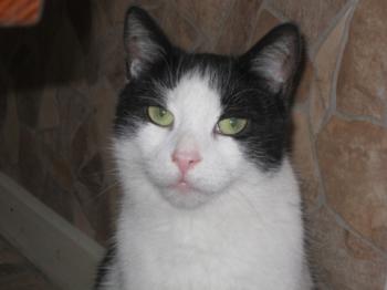 Robbie Bild von Robbie