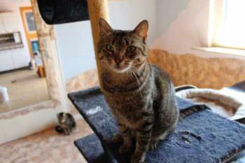 Gipsy-Mimi Bild von Gipsy-Mimi