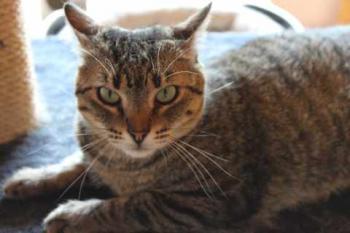 Gipsy-Mimi Bild von Gipsy-Mimi