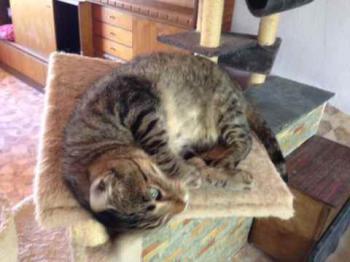 Gipsy-Mimi Bild von Gipsy-Mimi