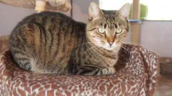 Gipsy-Mimi Bild von Gipsy-Mimi