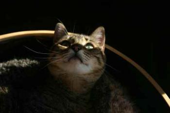 Gipsy-Mimi Bild von Gipsy-Mimi