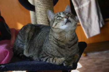 Gipsy-Mimi Bild von Gipsy-Mimi