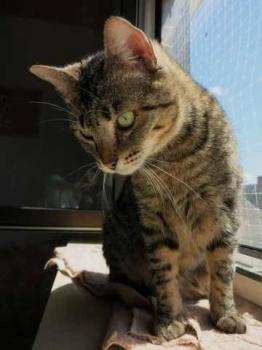 Gipsy-Mimi Bild von Gipsy-Mimi