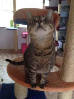 Gipsy-Mimi Bild von Gipsy-Mimi