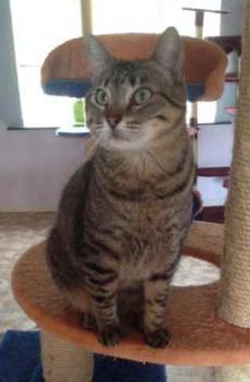 Gipsy-Mimi Bild von Gipsy-Mimi