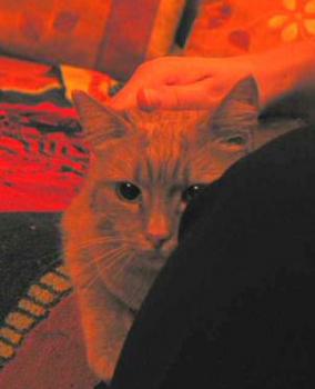 Yonca Bild von Barbarella