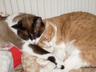 Willy und Ginny Bild von Cruce