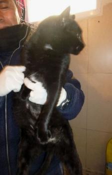Rufo Bild von Rufo