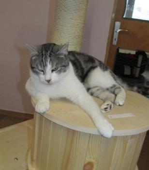 Pandolfo Bild von Pandolfo