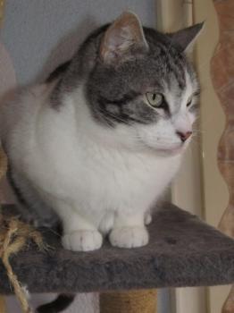 Pandolfo Bild von Pandolfo