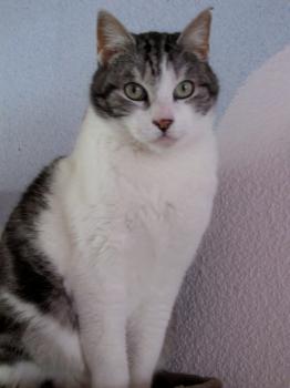 Pandolfo Bild von Pandolfo