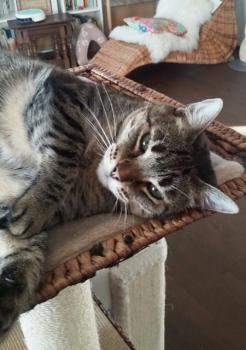 Gipsy-Mimi Bild von Gipsy-Mimi