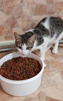 Jackie Bild von Jackie