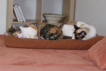 Yuma und Ruthie Bild von Yuma