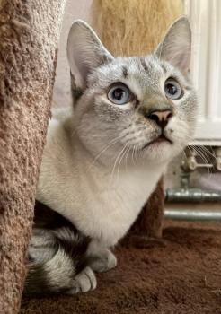 Gandalf el gris Bild von Gandalf el gris
