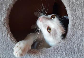 Max Bild von Max