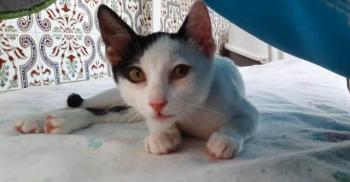 Max Bild von Max