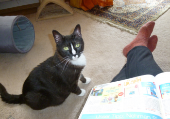 Susi Bild von Susi