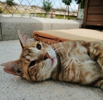Coco Bild von Coco