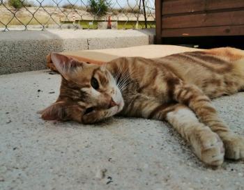 Coco Bild von Coco