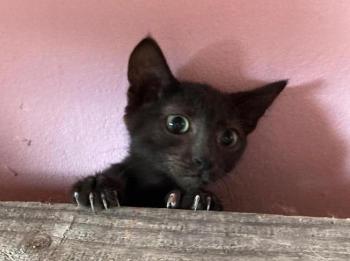 Morty Bild von Morty