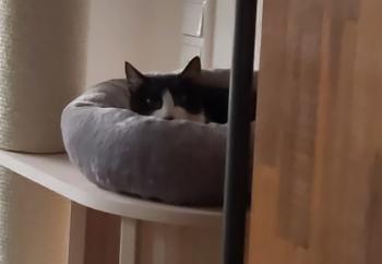 Roxana Bild von Roxana
