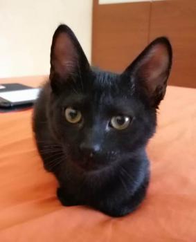 Salem Bild von Salem