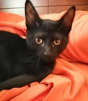 Salem Bild von Salem