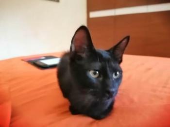 Salem Bild von Salem