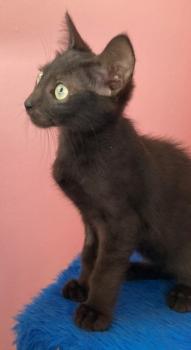 Morty Bild von Morty