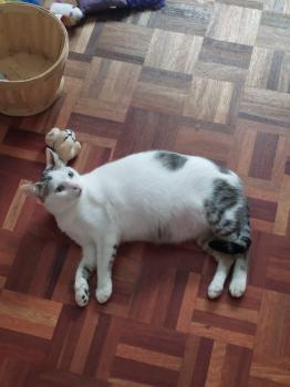 Lola Bild von Lola