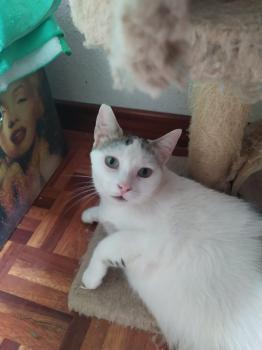 Lola Bild von Lola