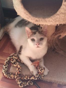 Lola Bild von Lola