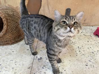 Chiquitin Bild von Chiquitin