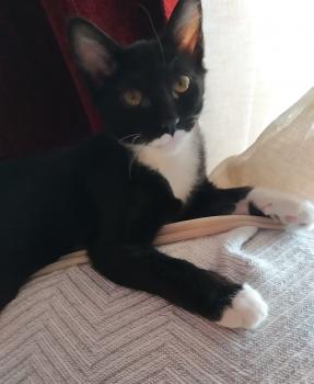 Evita Bild von Evita