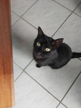 Babush Bild von Babush