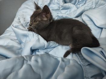 Dottie Bild von Dottie