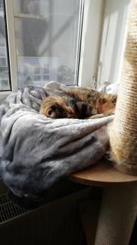 Fame Bild von Fame