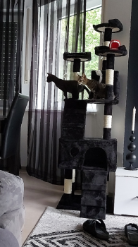 Morty Bild von Morty