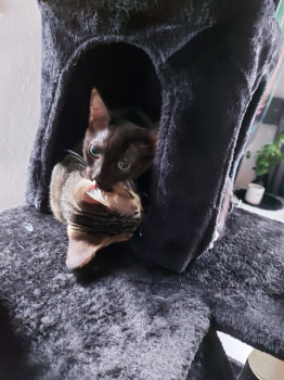Morty Bild von Morty