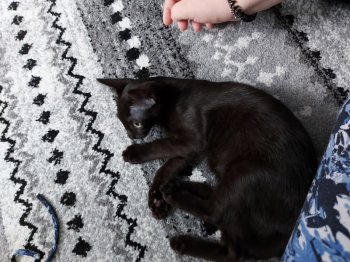 Morty Bild von Morty