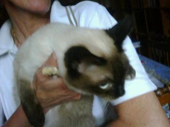 Kouky Bild von Kouky