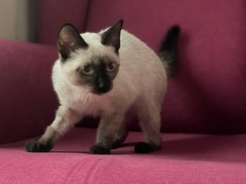 Muneca Bild von Muneca